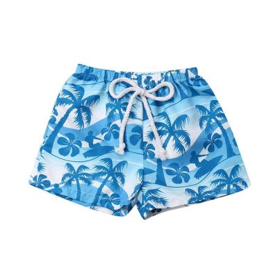 China Plus Size Plus Size Printed Mens Beach Swim Shorts Plus Size Swimwear Mens Swimming Trunks Beach Pants for sale