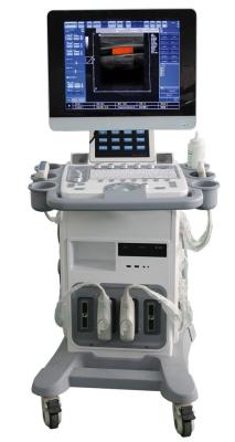 China High definition clear image Trolley Color Doppler Ultrasound System with One 3.5 Mhz convex probe for sale