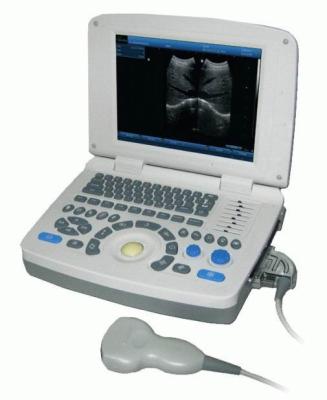 China 10 inch non-interlaced LCD monitor Portable veterinary ultrasound scanner for sale