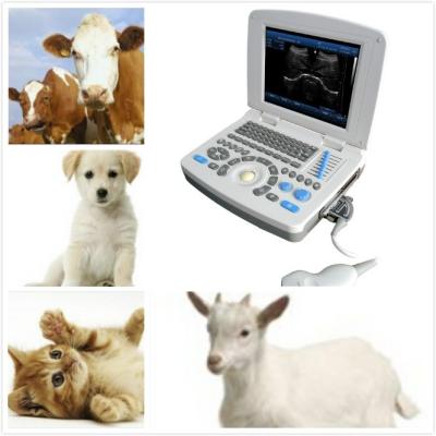 China SV-V10 PC based Portable veterinary ultrasound scanner with one convex probe for sale