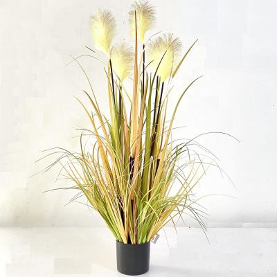 China Handmade High Quality Pampass Grass Phragmites Plants Wedding Home Decor Faux Fluffy Dry Artificial Pampas Grass Large for sale