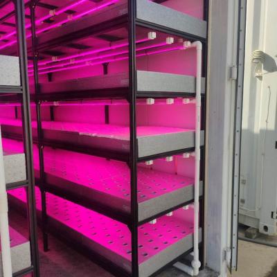 China Agriculture Planting Microgreens Vertical Hydroponic Forage Shipping Growing Container For Growing Smart Farms for sale