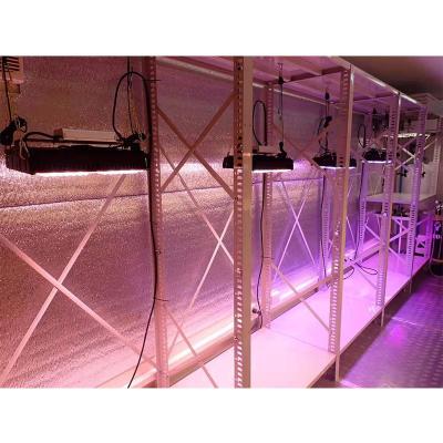 China Seed starting hgl grow light lux lighting led to grow tent kit for sale