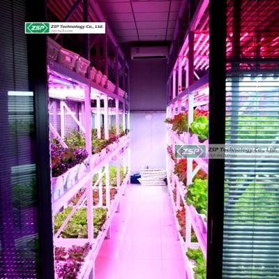 China ZSP smart glass hydroponic growing system smd 5630 led plant grow light strip for sale