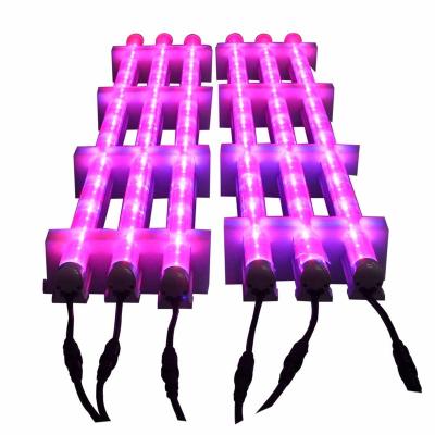 China Seed starting ZSP 1200mm 600mm compact led horticulture top light lumigrow ZPDT802 for sale