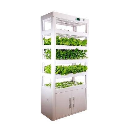 China Detachable With Adjustable Led Grow Lights Vertical Garden Urban Agricultural Hydroponic Indoor Commercial Price With Led To Grow Lights for sale