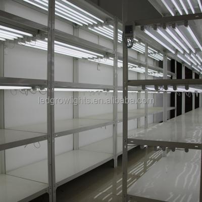 China Seed Seed Plant Led Plant Hot Sale New Design Grow Bars Lights From Research Institutes For Plant Tissue Culture Seedling On Indoor Vertical Rack for sale