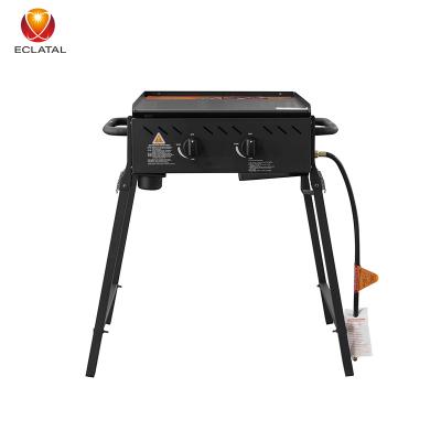 China High Quality Easily Assembled 2 Burner Camping BBQ Grill Outdoor Portable Gas BBQ Grill for sale