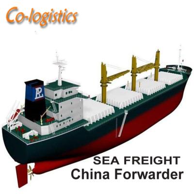 China Cargo logistics shipping freight forwarder sea charge rates from china to uae china shipping / dubai shipping cost for sale