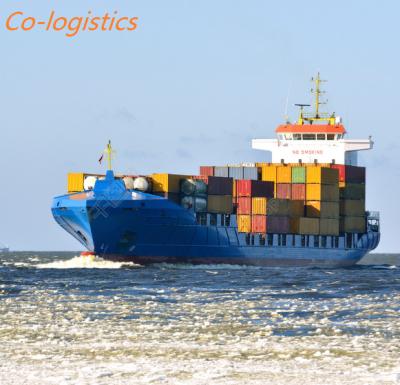 China 7days freight forwarder drop shipping services from shanghai china to dubai saudi arabia for sale