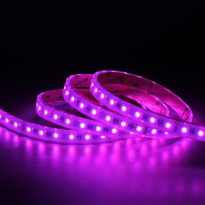 China SUR5050RGBW60 desk ip68 led strip tiras de luces led para habitaciones 12v led strip lights for sale