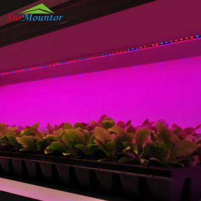 China Silicon Led Grow Light Full Spectrum Greenhouse Led Strip Grow Lights for sale