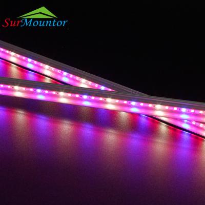 China A1713 Led Grow Light 2835 Full Spectrum LED Hydroponic Growing Systems Greenhouse Led Grow Light Bar Light for sale