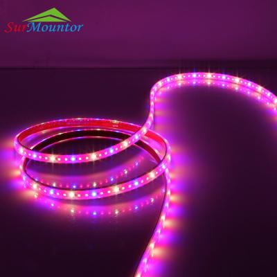 China Epistar Wholesale China Made Smd 3528 Double Ended Diy Hydroponic Plant To Grow Led Rope Light Bar , Full Spectrum Led Strip Grow Light for sale