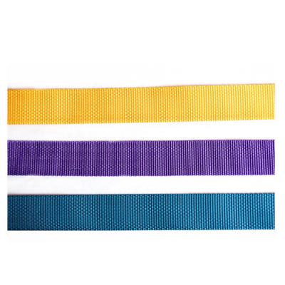 China High Tenacity Price Suitable Webbing For Garden Chair Nylon Solid Color Webbing Strap Webbing Custom Band for sale