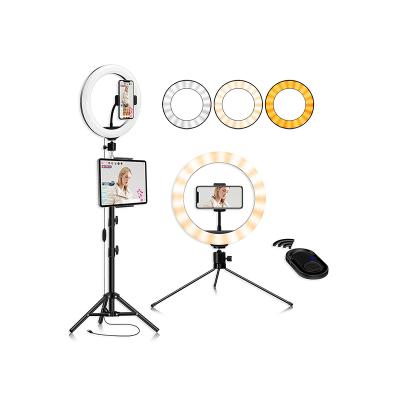 China PORTABLE Multiple Sizes Wholesale Beauty 10 Inch Photographic Selfie Led Ring Light With Tripod Stand For Live Stream Makeup for sale