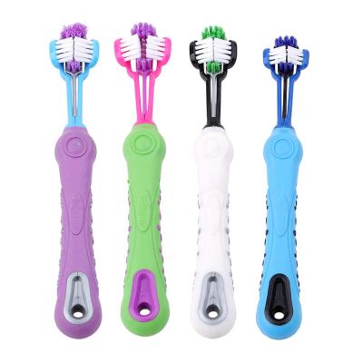 China Viable Factory LOW MOQ New Design Three Heads Wholesale Pet Cat Dog ToothbrushHot for sale