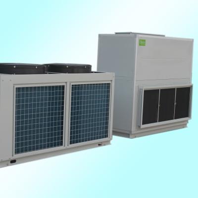 China Split Duct Air Conditioner Commercial/Office/Hotel/Hospital HVAC Central Air Cooled Unit with 100% Fresh Air Function for sale