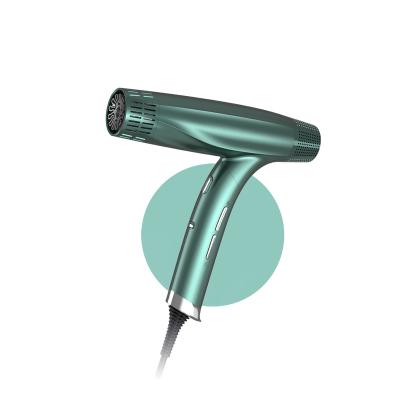 China 2021 New Ionic Anion Quick Dry Hair Dryer for sale