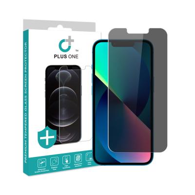 China Anti Privacy Spy Peep Privacy Screen Protector For iPhone 13 Pro Max Screen Protector Privacy Tempered Glass 14 for sale