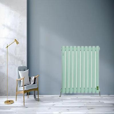 China Designer Steel Radiator Heating Central Heating Radiator from Heater Home Heating Radiator Selling for sale