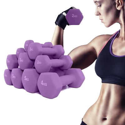 China Comfortable Home Gym Equipment Workouts Strength Training Neoprene Coated Dumbbell Hand Weights Set for sale