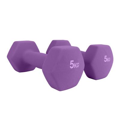 China Comfortable Portable Colorful Cast Iron Neoprene Training Equipment Fitness Gym Rubber Hex Dumbbell for sale