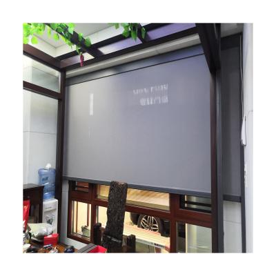 China QINGYING Vintage Fabricate Wireless Window And Balcony Sun Shading Tubular System Windproof Rail Motor Zip Motorized Roller Blinds for sale