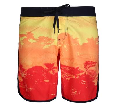 China Mens Beachwear Sublimation QUICK DRY Hot-selling Trees Print Mens Board Shorts for sale