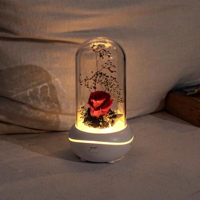 China Aroma Lamp Wholesale Rechargeable 7 Colors LED Night Light Fragrance Diffuser Desk Lamp with Immortal Decorative Rose for sale