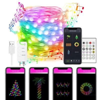 China Smart Light WIFI Bluetooth 40 Mic Captible With Alexa Built-in Remote Copper Wiring 5M 10m Garden LED Strip Lights RGB SMD5050 USB LED for sale