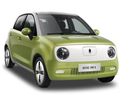 China Cloth Best Selling High Speed ​​Electric Mini Car With 405km NEDC Range for sale