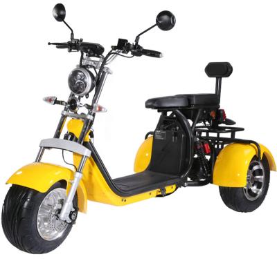 China Passenger EEC Fat Tire Electric Golf Scooter With Removable Double Three Batteries for sale