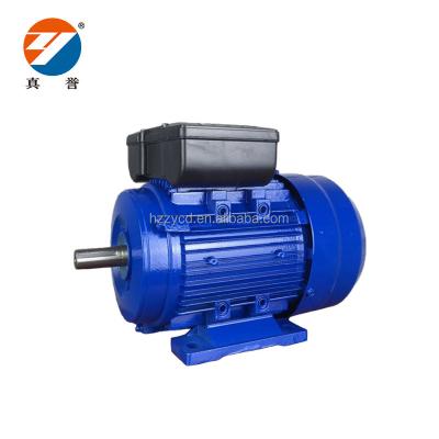 China YL Series Single Phase Dual Capacitor Explosion Proof Induction Motor for sale