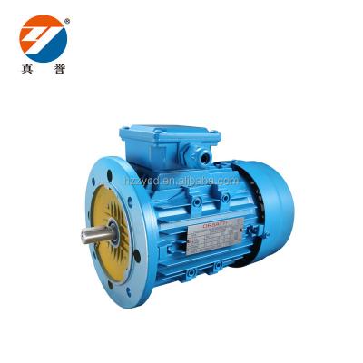 China Hot Sale Y2 Synchronous Motor Explosion Proof Three Phase Motor In AC Motor for sale