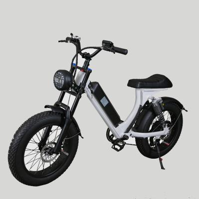 China 20inch 500W unisex foldable e-bike high speed electric bike with big tires for sale