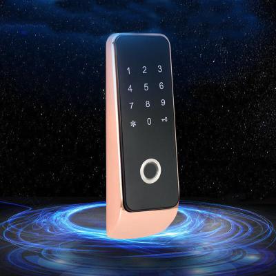 China Password/Best Selling Fingerprint RFID Touch Screen Card Sauna Locker Lock for sale