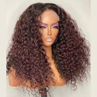 China Brown 5x5 Lace Closure Wig Transparent Curly Mink Brazilian Hair Closure Wig With Baby Hair 4*4 Closure Wig for sale