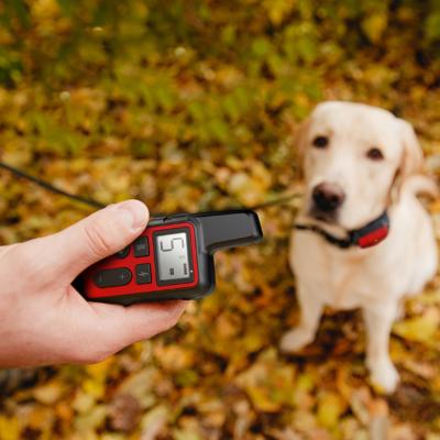 China High Quality Pet Accessories Rechargeable Waterproof Remote Dog Training Dog Trainer Vibration /Beep/Shock Strong Collar for sale