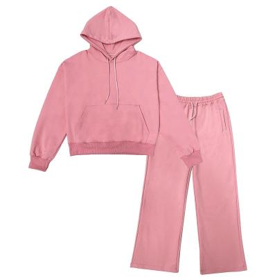 China Wholesale Custom Logo Cotton QUICK DRY 2 Piece Set Winter Warm Women Where Sweatsuit Pullover Fashion High Quality Solid Oversized Hoodie Set for sale