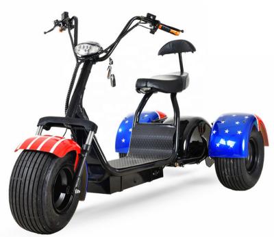 China Fat Tire 1000W 40km/h Scooter 3 Wheels Unisex Electric Tricycle City Tricycle Fat E Sport Motorcycle for sale