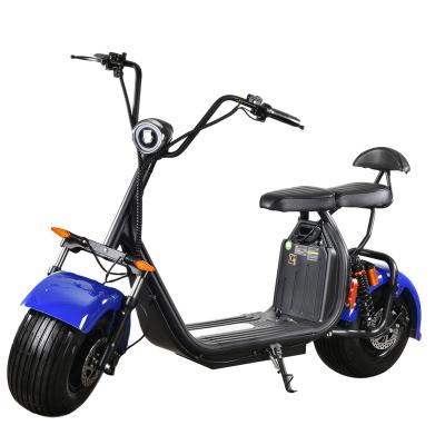 China Electric Scooter Fat Tire E Bike 1000W 2 Wheel 40km/h New Design JJ-T051 CITY ARK for sale