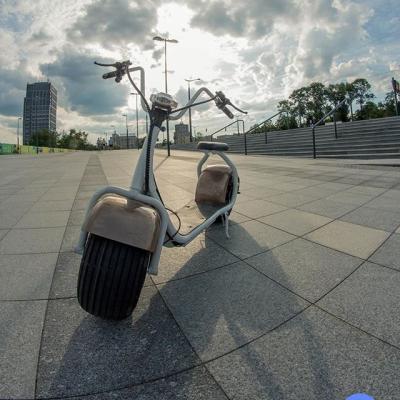 China Dropshipping JJ-T001 Electric Citycoco Support Chopper Motor Fat Tire Chopper Scooter Unicycle Bicycle Two Wheel Brushless Bike Electric CITY ARK for sale