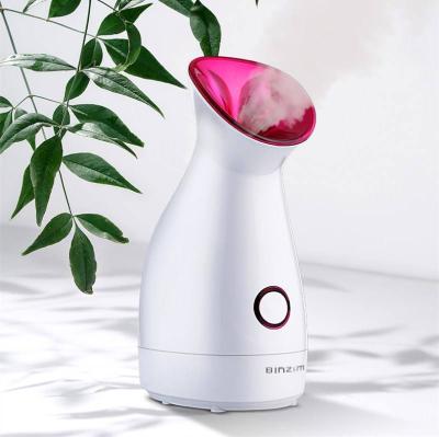 China Face Warm Nano Ionic Humidifier Moisturizer Household Warm Mist Steamer Deep Peel Warm Moisture Facial Steamer for sale