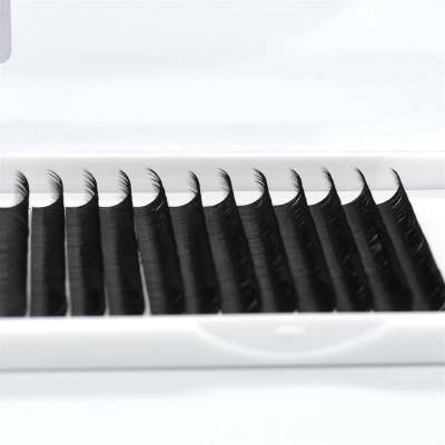 China 12 Lines Individual Classic Natural Eyelash Extension Mix Length 8-25mm Long Lashes Silk Volume Lash Extension Korea for sale