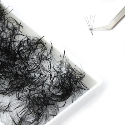 China 1000 500 Root Premade Volume Fans Eyelash Extensions Low Pointed Loose Pointed Thin Rod Fans Natural Narrow Eyelash Extensions for sale