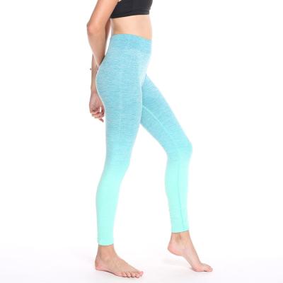 China Breathable Gym Fitness Clothing Yoga Pants Ladies Bright Gradient Sweatpants Running Nine Points Breathable Seamless Sportswear Gaiters for sale