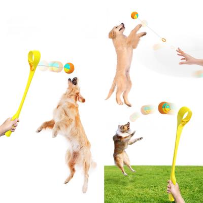 China Hot Products Sustainable Pet Interactive Outdoor Training Ball Throwing Rod Dog Molar Toy Ball for sale