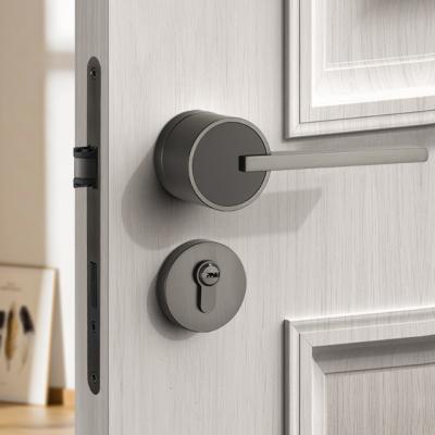 China Bedroom and bathroom Wholesale Price Modern Style Household Mute Black Zinc Alloy Handle Split Door Lock with Key for sale