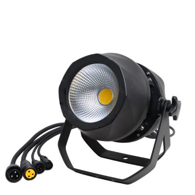 China Warehouse Warm White Or Cool White Color 200W Waterproof Led Par Light Outdoor Light IP65 for sale